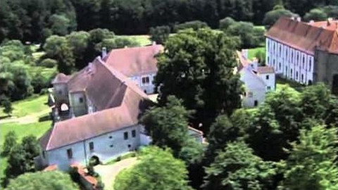 Paměť stromů - 7/15 Žižkovy stromy