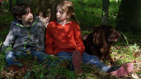 S Hubertem do lesa - Veverčí záchranáři