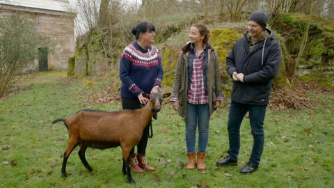 Co naše babičky uměly a na co my jsme zapomněli - Česká koza