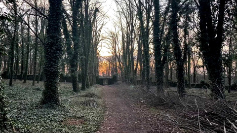 Z metropole - 6. dubna 2024