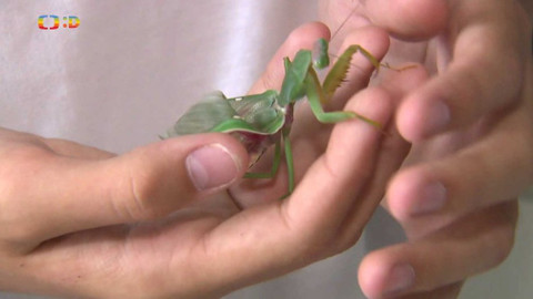 Zprávičky - 18. července 2019