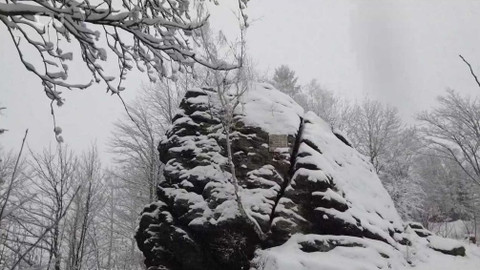 Toulavá kamera - 17. ledna 2021