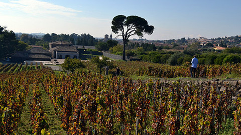 Postřehy odjinud - Sicílie očima Jana Šmída