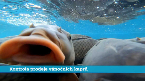 Události v regionech (Praha) - 23. prosince 2024