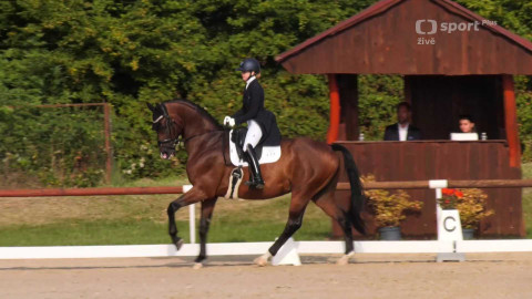 Jezdectví - MČR v drezuře Brno