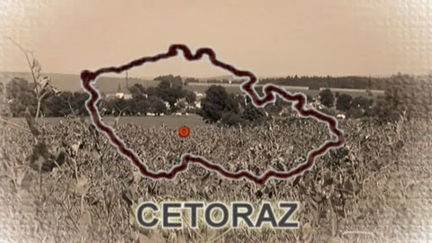 Divnopis aneb Proč se to tak jmenuje? - Cetoraz