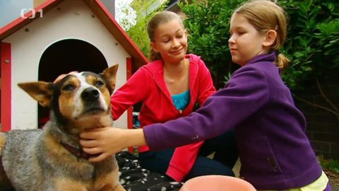 Věda je detektivka - Epizoda 9/26