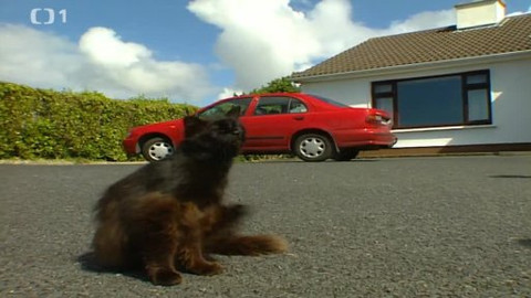 Postřehy odjinud - Irsko očima Petra Voldána