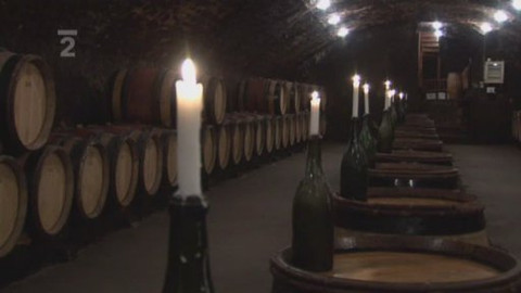 Postřehy odjinud - Burgundsko očima Jana Šmída