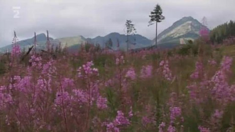 Přidej se - Slovensko IV.