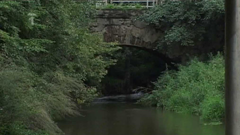 Živé srdce Evropy - Břevnický potok