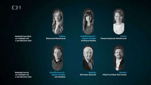 Český lev - Nejlepší herec/herečka ve vedlejší roli v seriálovém díle