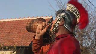 Svatomartinské víno