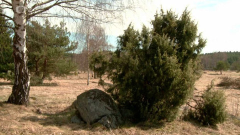 Novinky z přírody - Epizoda 49/53