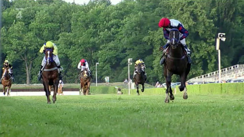 Velká pardubická - 2. kvalifikace