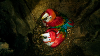 Andy a cesta kolem světa