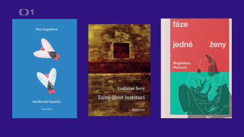 Magnesia Litera - Luxor Litera za prózu