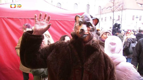 Zprávičky - 28. února 2020