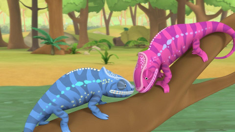 Leo, strážce přírody - Chameleon pardálí