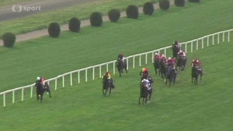 Turf - 20. dubna 2016