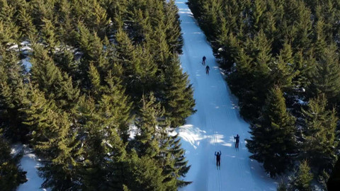 Běžkotoulky - Jiřetín pod Bukovou a Bedřichov