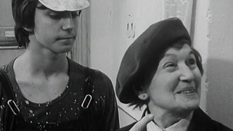 Bakaláři - Slivovice