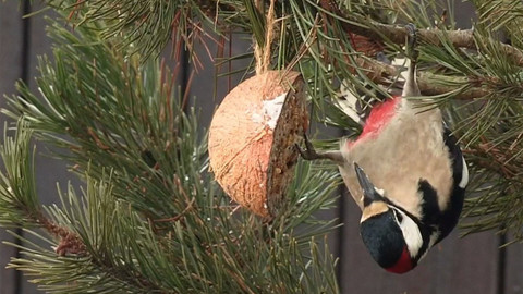 Nedej se! - Neviditelné ticho