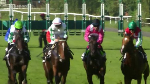 Jezdectví - Zlatý pohár EŽ Praha