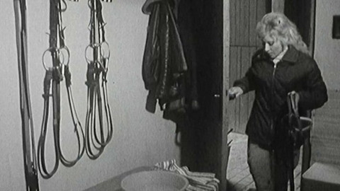 Archiv D - Vyhrála jsem Derby