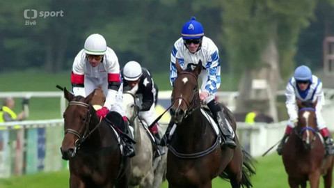 Dostihy - Evropský pohár žokejů 2017