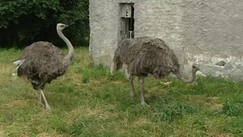 Nedej se! - Oběť v exekuci