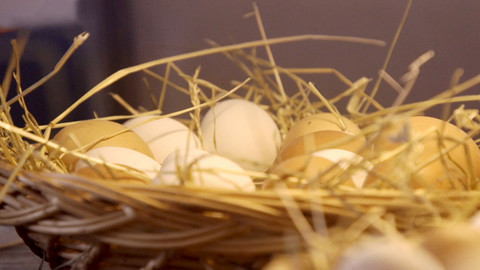 Boží dar - příběhy českých potravin - 4/6 Příběh vajec