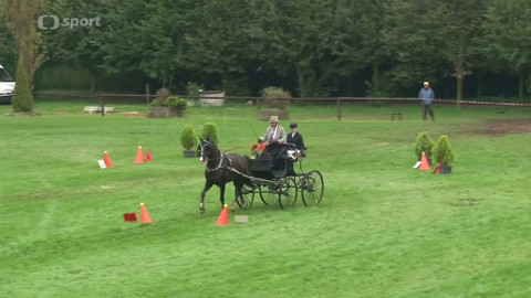 Jezdectví - M ČR spřežení 2017 Pardubice