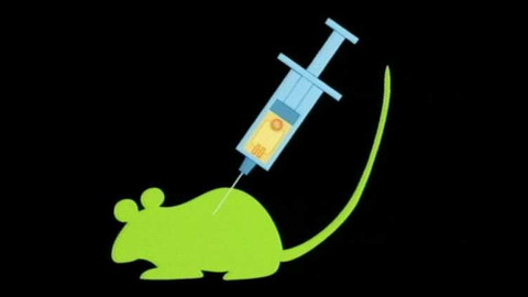 Popularis - 15. dubna 2004