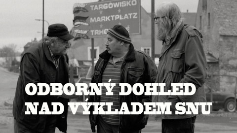 Odborný dohled nad výkladem snu