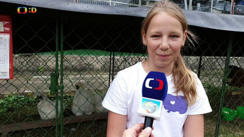 Zprávičky - 24. června 2019