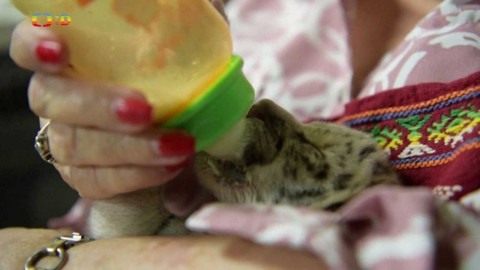 Zprávičky - 7. ledna 2021