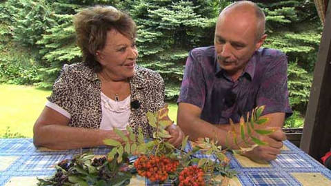 Hobby naší doby - Hobby naší doby - letní speciál