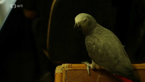 Průvan - Poznávání a věda