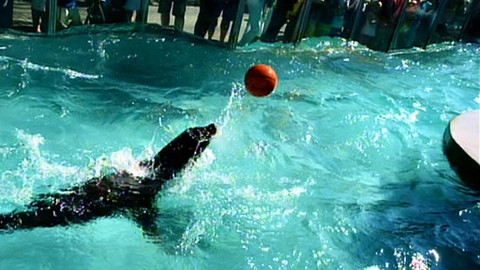 Ze ZOO do ZOO - 11/13 Ústí nad Labem