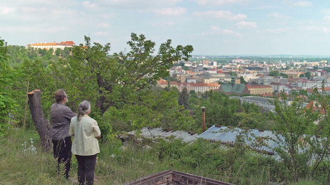 Nedej se! - Zelený restart