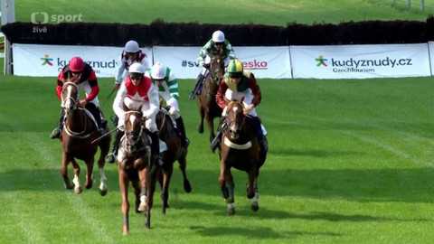 Dostihy - III. kvalifikace na 130. Velkou pardubickou se Slavia pojišťovnou