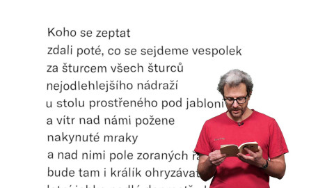 Jedna báseň - Lukáš Zádrapa