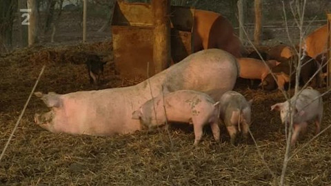 Přidej se - Biofarma Sasov