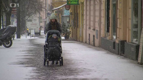 Černé ovce - 6. února 2024