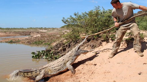 60 zvířecích zabijáků - Epizoda 15/20