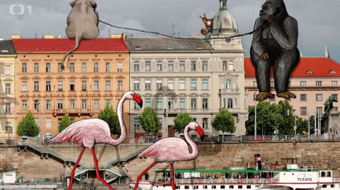 Gejzír - 18. ledna 2018