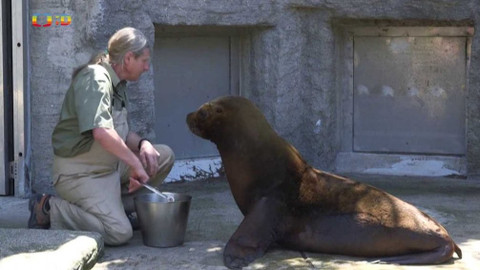 Zprávičky - 7. července 2020