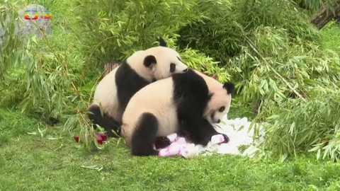 Zprávičky - 1. září 2023