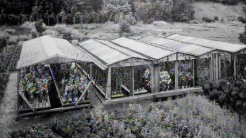 Toulavá kamera - 18. září 2005